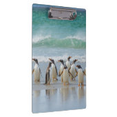 Porte-bloc Îles Falkland. Île Saunders. Gentoo (Swatch)