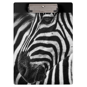 Porte-bloc Illusion Zebra