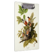 Porte-bloc Illustration Audubon American Robin Wildlife Bird (Swatch)