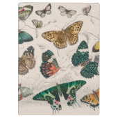 Porte-bloc Illustration de papillon antique : 1820 Orfèvre (Dos)