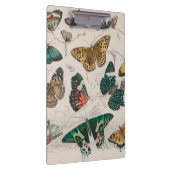 Porte-bloc Illustration de papillon antique : 1820 Orfèvre (Swatch)