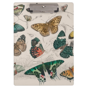 Porte-bloc Illustration de papillon antique : 1820 Orfèvre