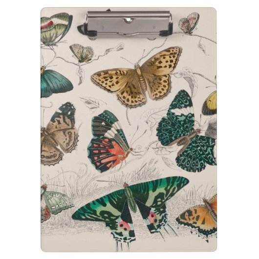 Porte-bloc Illustration de papillon antique : 1820 Orfèvre (Devant)