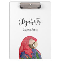 Illustration de perroquet tropical Macaw coloré
