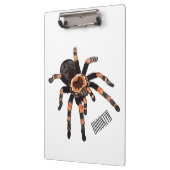 Porte-bloc Illustration de Tarantula (Gauche)