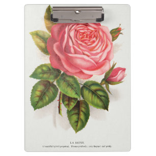 Porte-bloc Illustration Florale Rose Rose Antique Cottagecore