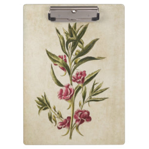 Porte-bloc Illustration vintage de Balsam végétal