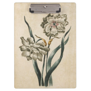 Porte-bloc Illustration vintage de Narcisse florale