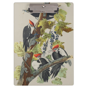 Porte-bloc Illustration vintage de Pic à tête rouge d'Audubon