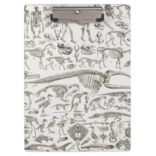 Porte-bloc Illustration vintage des os humains et animaux