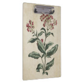 Porte-bloc Illustration vintage Floral Laurestina (Swatch)