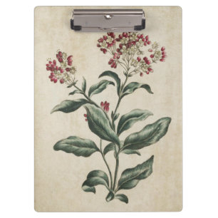 Porte-bloc Illustration vintage Floral Laurestina
