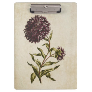 Porte-bloc Illustration vintage florale à deux étoiles