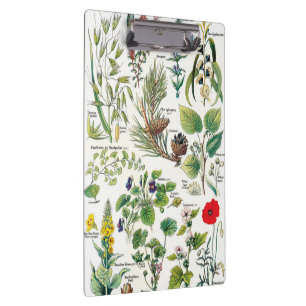 Porte-bloc Illustrations botaniques - usines de Larousse