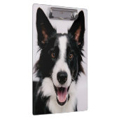 Porte-bloc Images de Getty | A border collie de sourire (Swatch)