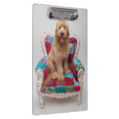 Porte-bloc Images de Getty | Goldendoodle mignon (Swatch)