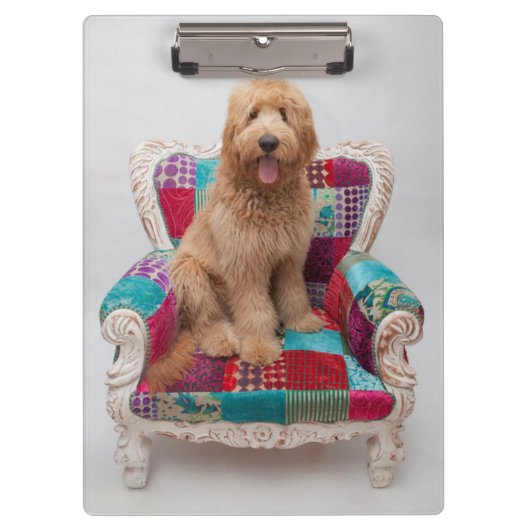 Porte-bloc Images de Getty | Goldendoodle mignon (Devant)