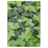 Porte-bloc Impression botanique verte Ivy (Dos)