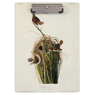Porte-bloc Impression d'oiseau de John James Audubon Troglody