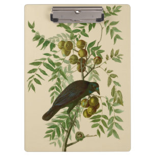 Porte-bloc Impression d'oiseau Grackle Violet d'Audubon Botan