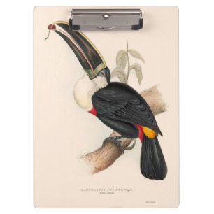 Porte-bloc Impression du Toucan de Cuvier : Oiseau Tropical V
