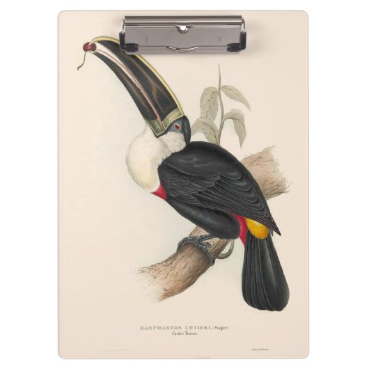Porte-bloc Impression du Toucan de Cuvier : Oiseau Tropical V (Devant)
