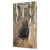 Porte-bloc Impressionnant orignal (Gauche)