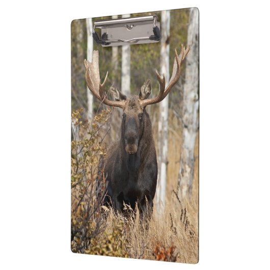 Porte-bloc Impressionnant orignal (Gauche)