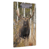 Porte-bloc Impressionnant orignal (Swatch)