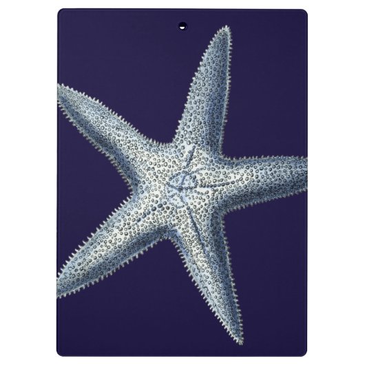 Porte-bloc Indigo Shells IV (Dos)