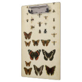 Porte-bloc Insectes de jardin par Vision Studio (Gauche)