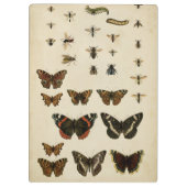 Porte-bloc Insectes de jardin par Vision Studio (Dos)