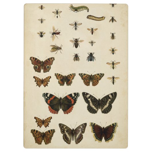 Porte-bloc Insectes de jardin par Vision Studio (Dos)