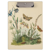 Porte-bloc Insectes vintages, Papillons, Caterpillar (Devant)