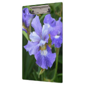 Porte-bloc Iris pourpre (Gauche)