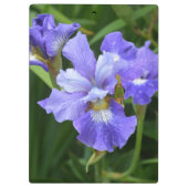 Porte-bloc Iris pourpre (Dos)