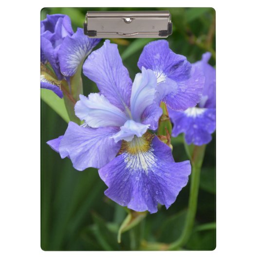 Porte-bloc Iris pourpre (Devant)