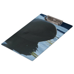 Porte-bloc Irrawaddy Dolphin Peek-A-Boo
