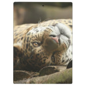 Porte-bloc Jaguar de repos (Dos)