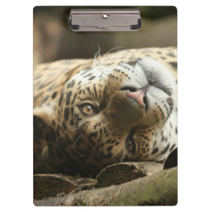 Porte-bloc Jaguar de repos
