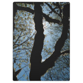 PORTE-BLOC JAMAIS (Dos)