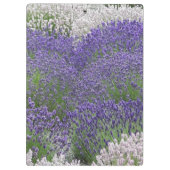 Porte-bloc Jardin de prière de sérénité inspirant (Dos)