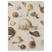 Porte-bloc Jardin d'escargots Animaux de compagnie Gastropod  (Dos)