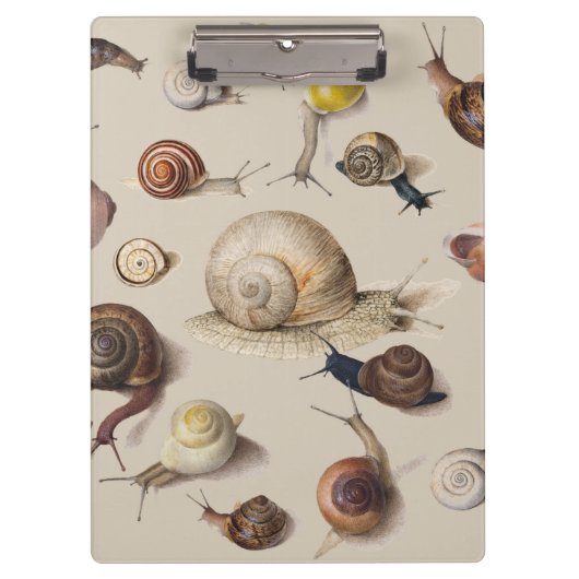 Porte-bloc Jardin d'escargots Animaux de compagnie Gastropod  (Devant)