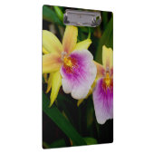 Porte-bloc Jaune rose violet Miltonia Sunset Orchidées (Swatch)