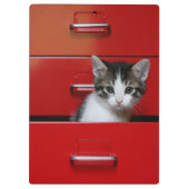 Porte-bloc Jeter un coup d'oeil de chaton (Dos)