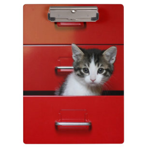 Porte-bloc Jeter un coup d'oeil de chaton