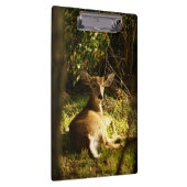 Porte-bloc Jeune Buck Dans Le pré (Swatch)