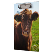 Porte-bloc Jeune vache Brown en champ de pâturage (Gauche)