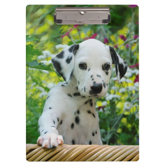 Porte-bloc Joli Chien Dalmatien Portrait de Chien Puppy Photo (Devant)